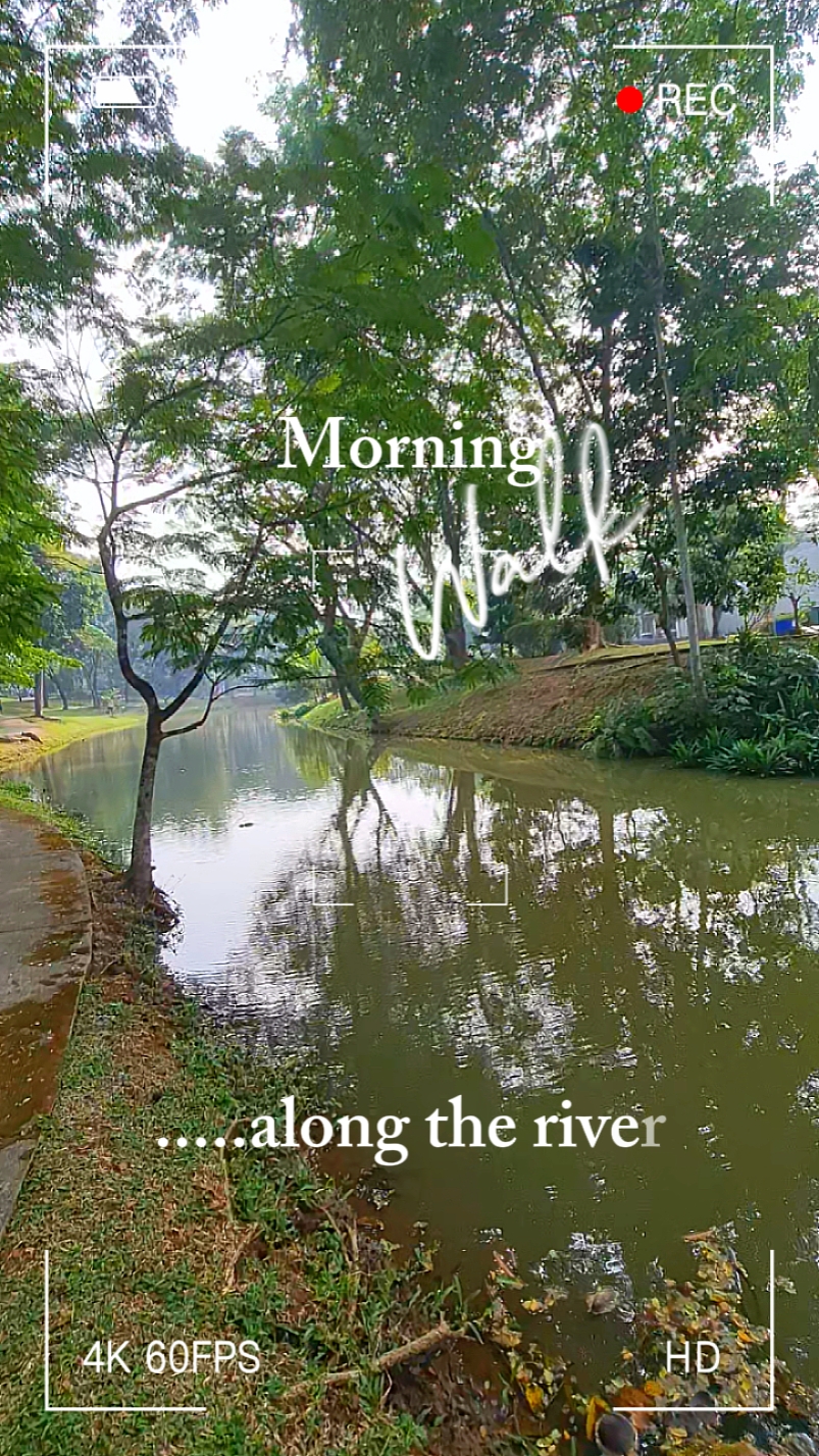 História Da Caminhada Matinal