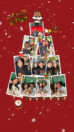 Cây thông Noel
