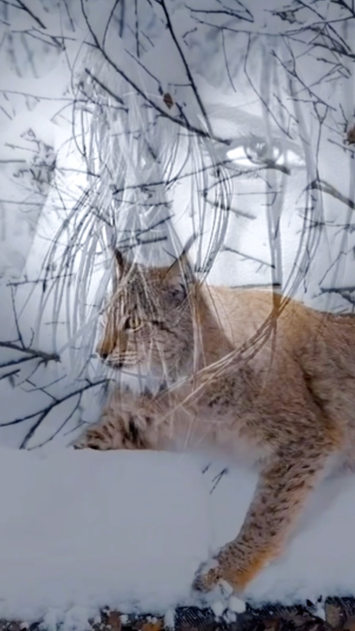 Winterlandschaft