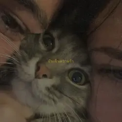 มันเป็นความรัก…