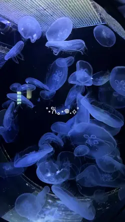 aquarium vlog 