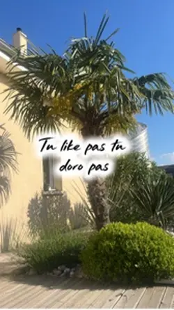 Tu like ps