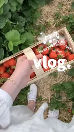 vlog. ドレミファ🎶