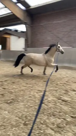 on a summer breeze 🌅