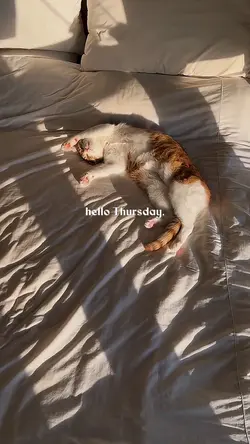 hello thursday