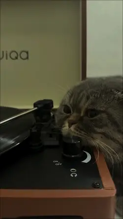 Slowmotion