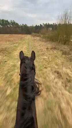 Hacking>>>