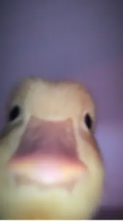 法修散打