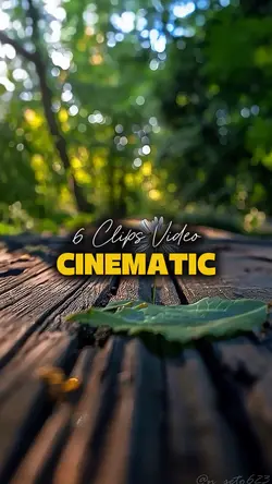 6 CLIPS VIDEO 