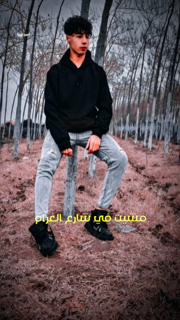 مشيت في شارع الغرام