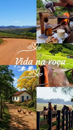 Vida na roça
