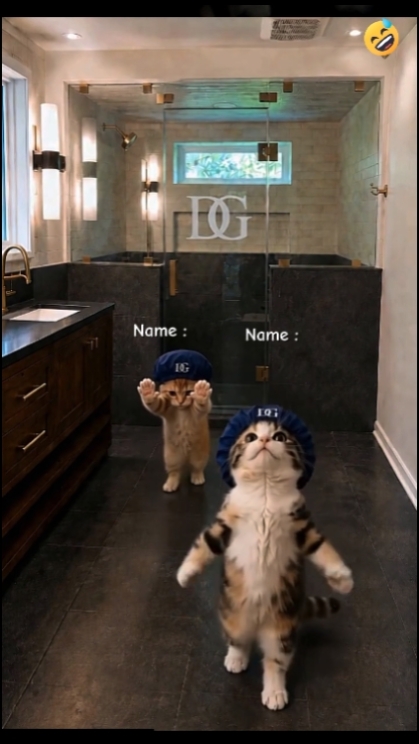 Komik Kedi