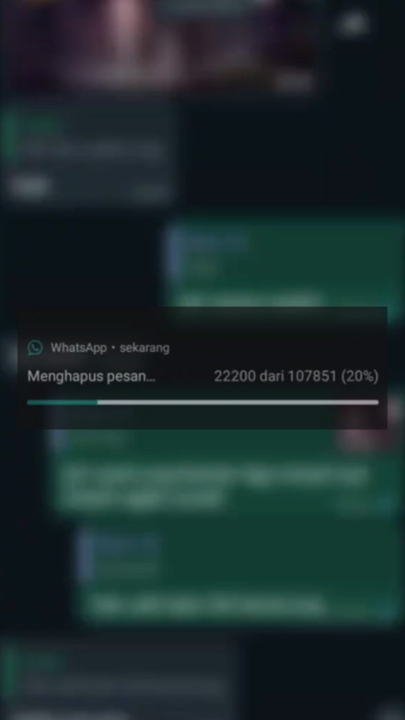 VERSI HAPUS CHAT WA 