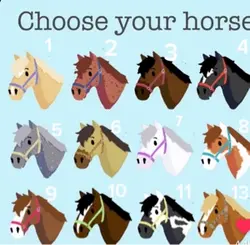 Pick a horse❤️