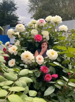 AI-Powered Flowers