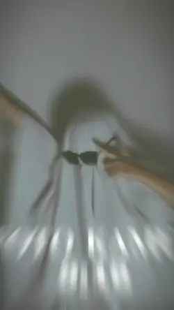 좋았어 영차ㅋ