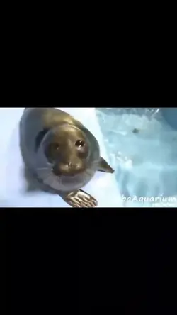 amdkasidjaoxlzjjxzoj