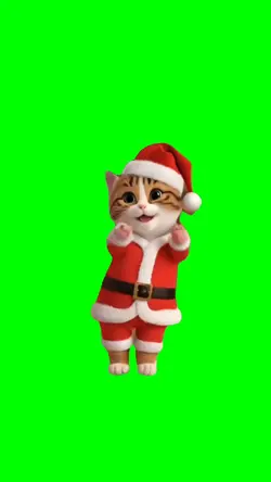 Kitten Dancing 