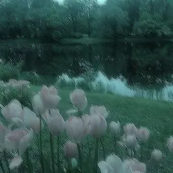 conheci Um idol hj..