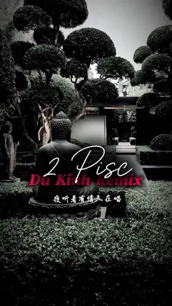 Du Kinh Remix