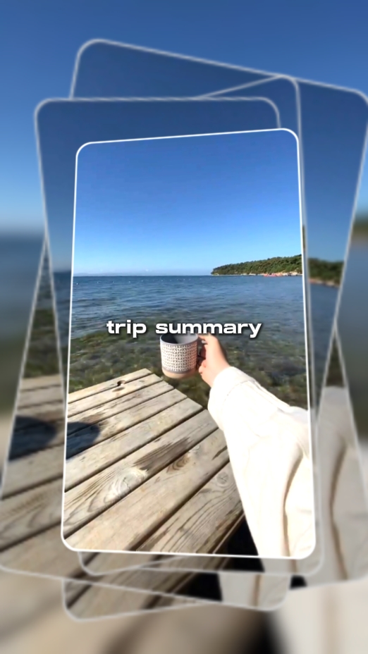trip summary