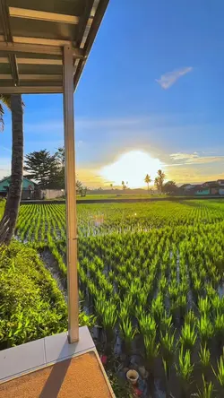 HD JERNIH VIDEO