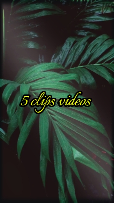 5 clips cinematic 