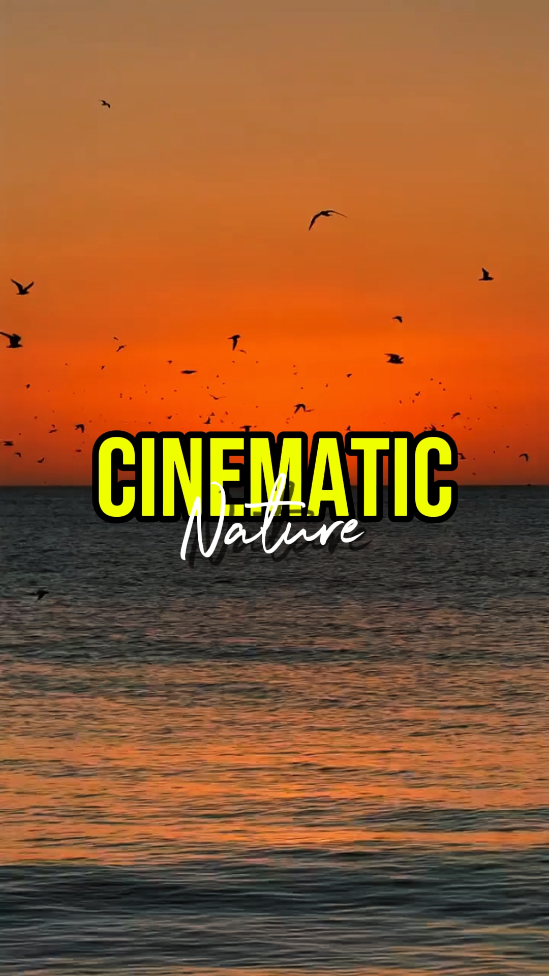 CINEMATIC NATURE