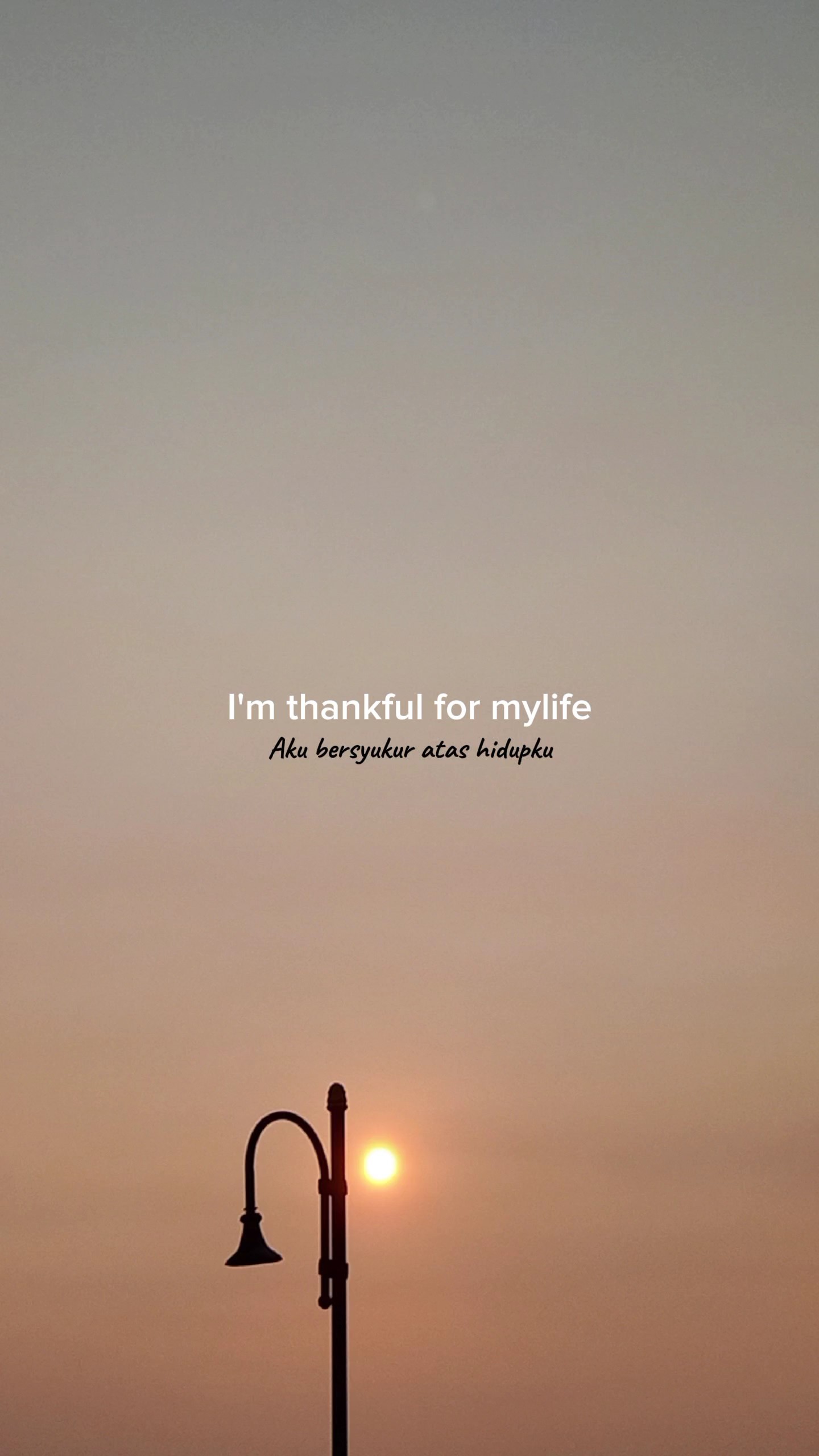 Agradecido por mi vida