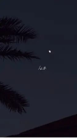 Poetry Template 🌸