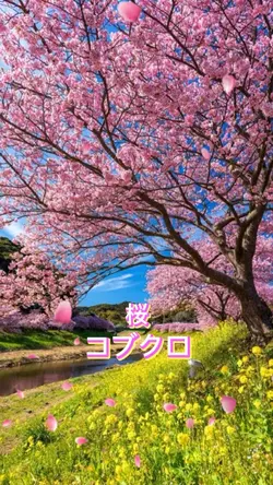 コブクロ/桜