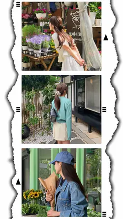 12Pic Clip Aestehtic