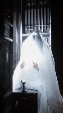 不了情