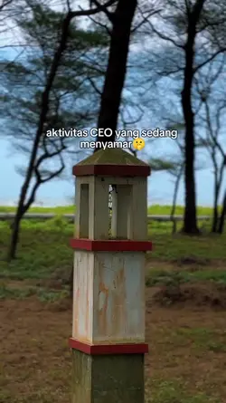 Aktivitas CEO yang 