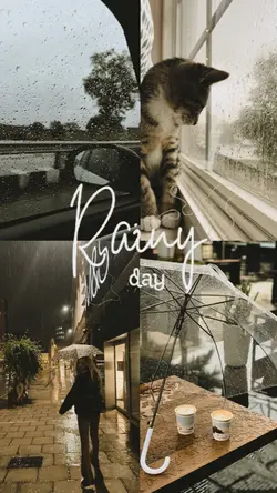 rainy day