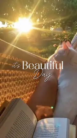 Beautiful Day