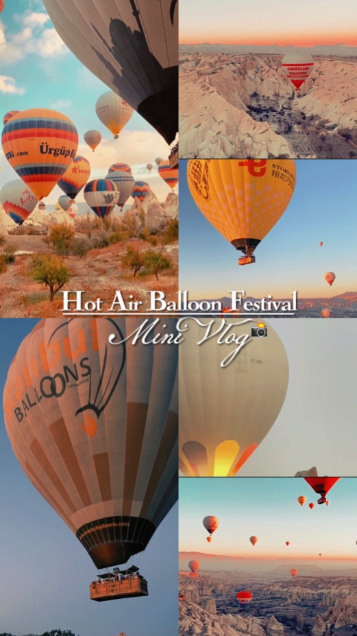 Globo del Festival MV