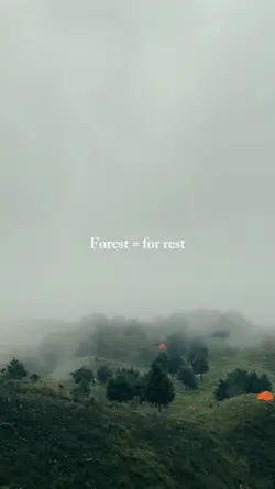 forest= for-rest