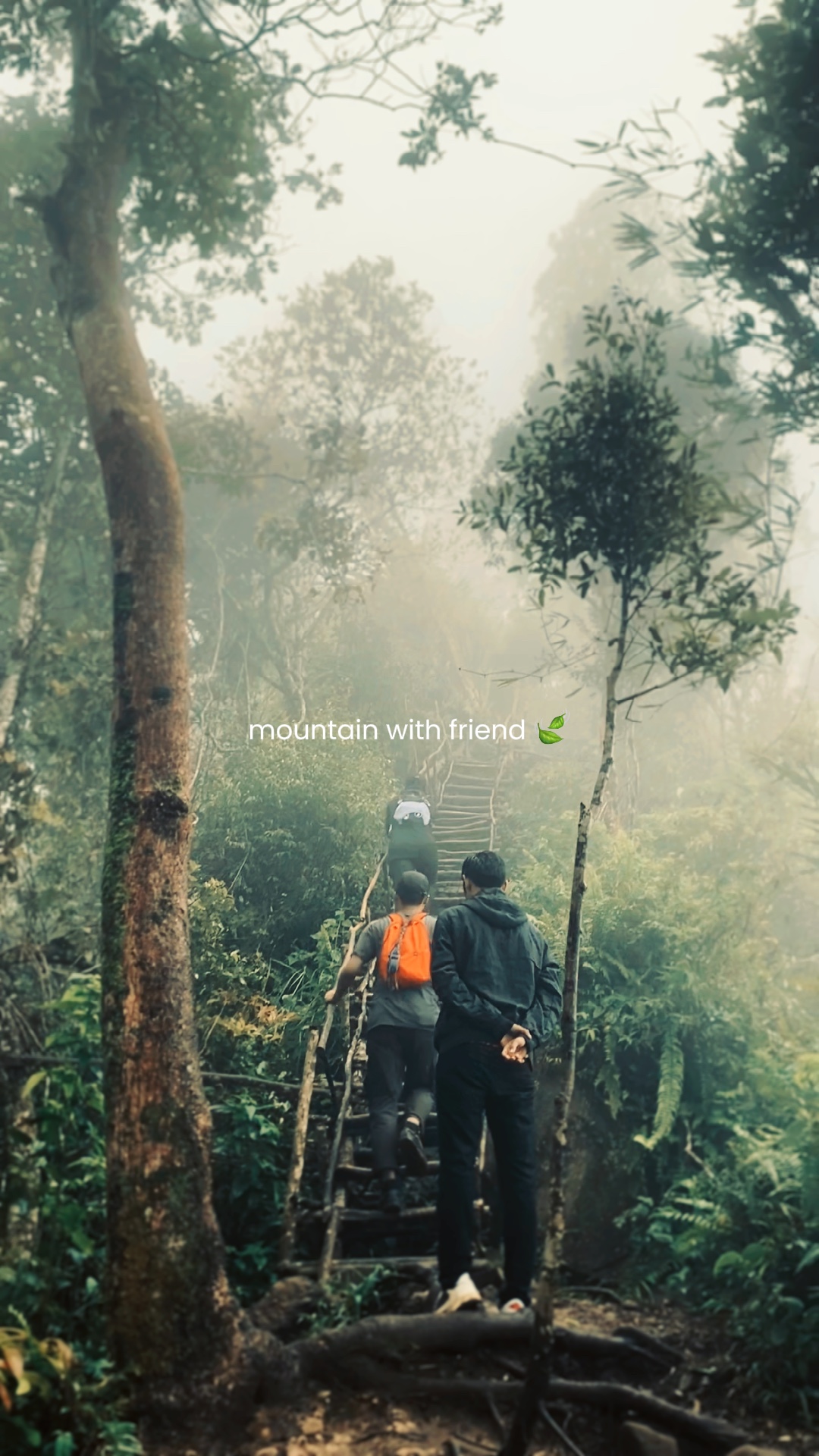 Cinematic With frien