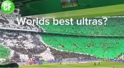 Celtic green brigade
