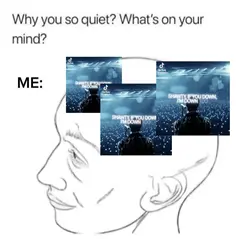 why r u so quiet?