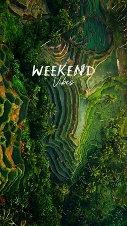 Weekend Vibes