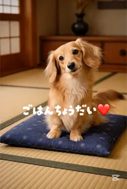 ごはんちょうだい❤️