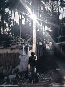 Cover Picture