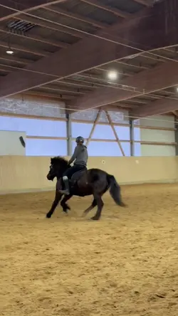 MANEATER 😋 SLOWMO