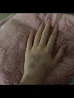 The butterfly projec