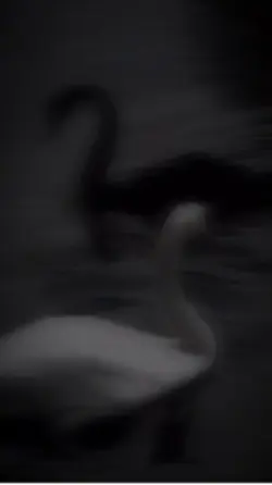 حرفایت چشم هایت. 🤭❤️