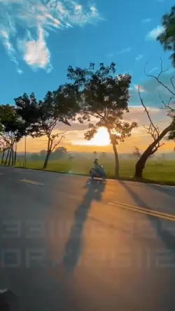 Slomo 2 video