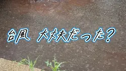 反映が...