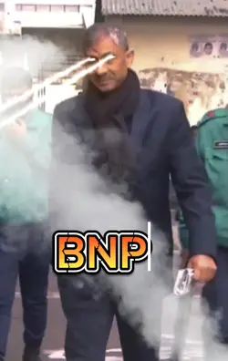 bnp